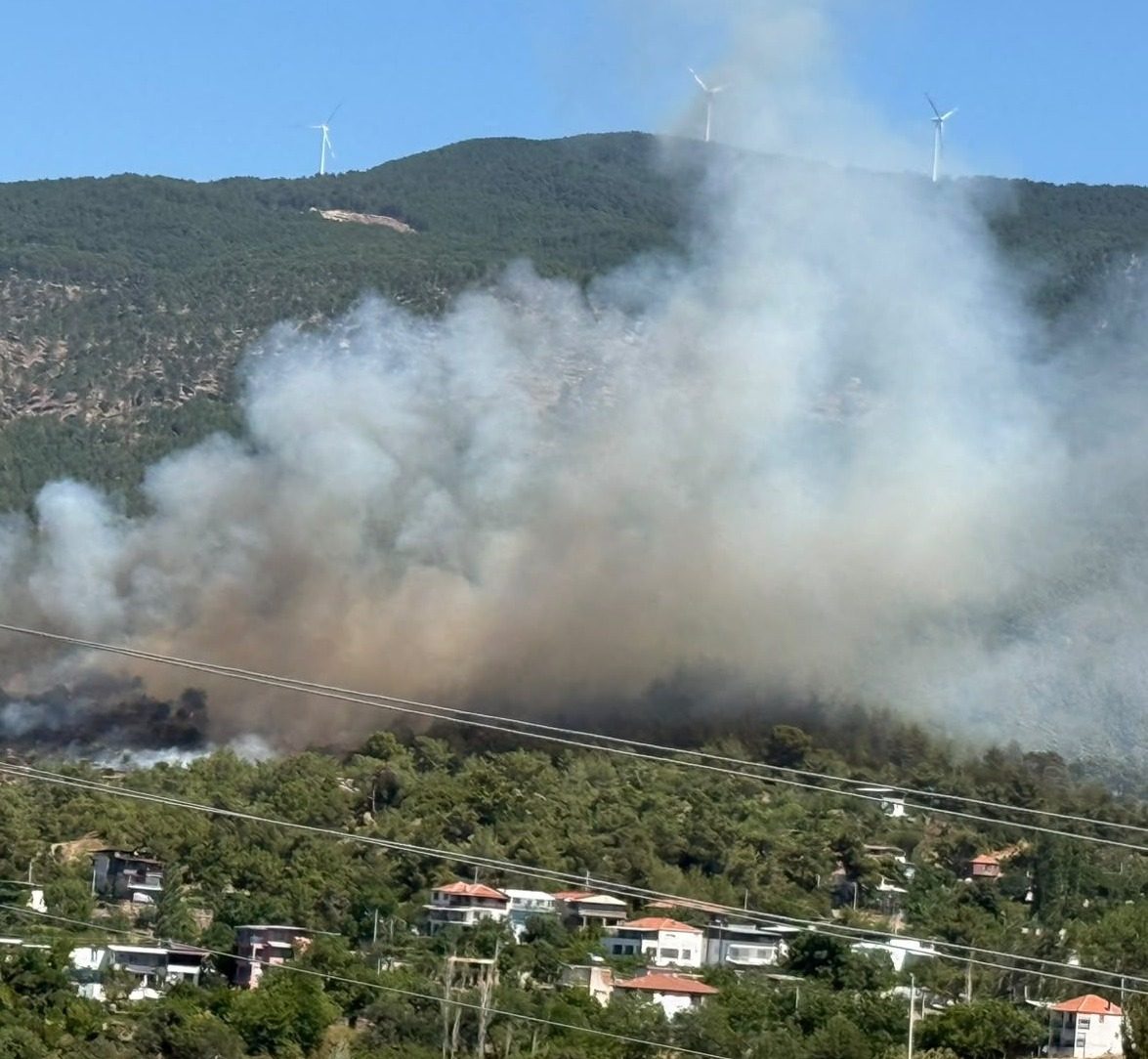 Aydın'da Orman Yangını Alarmı: Sıcaklık 43 Dereceye Çıkacak