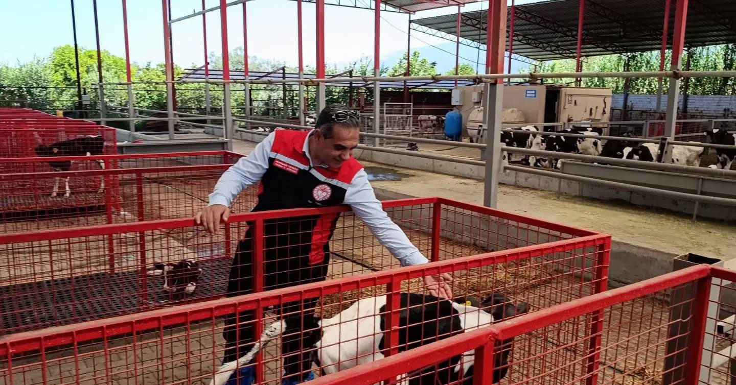 Aydın’da Hayvan Sahipleri Dikkat! Küpe Kontrolünü İhmal Etmeyin