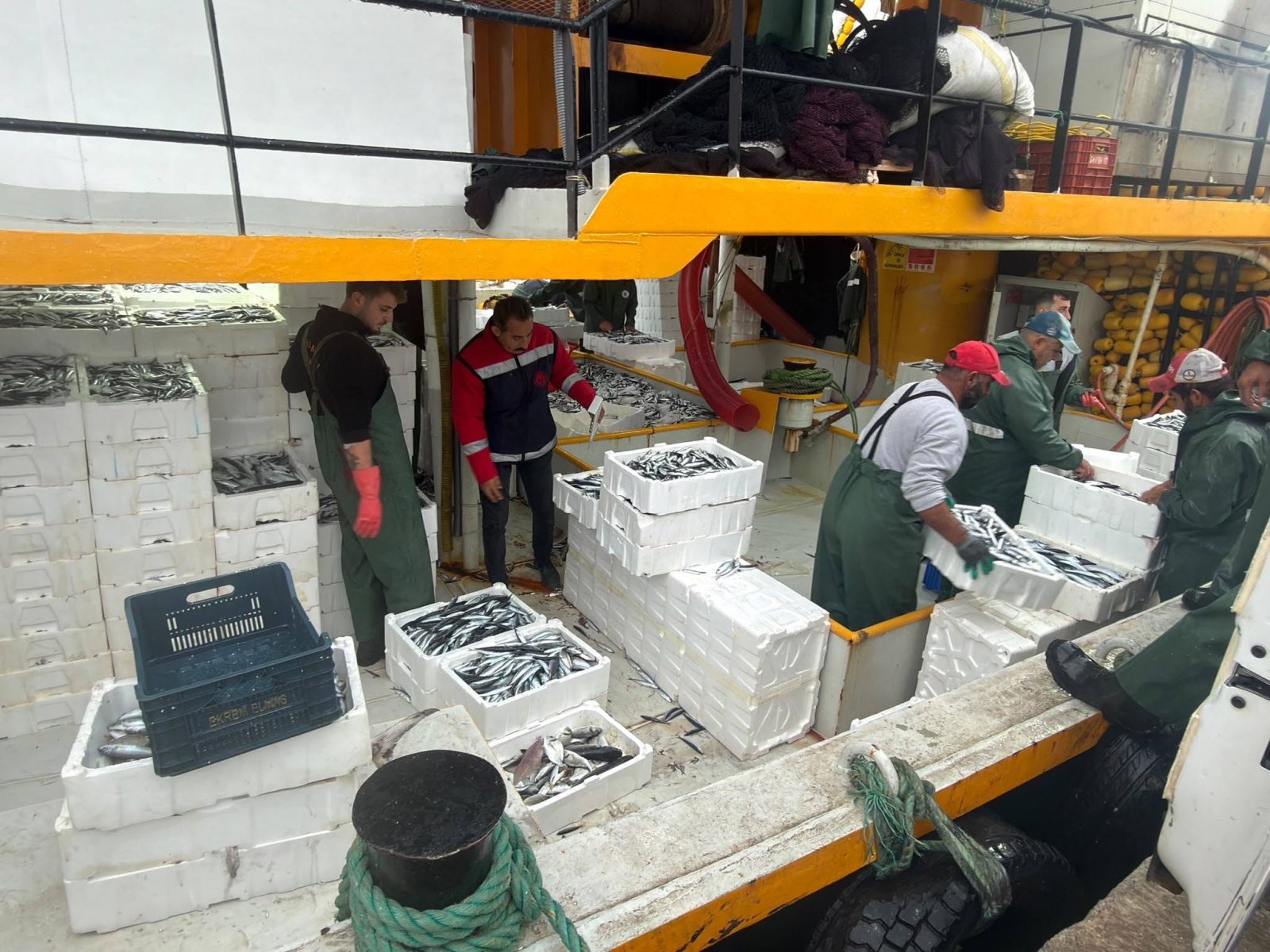 Didim’de Balıkçılık Faaliyetlerine Kota Denetimi