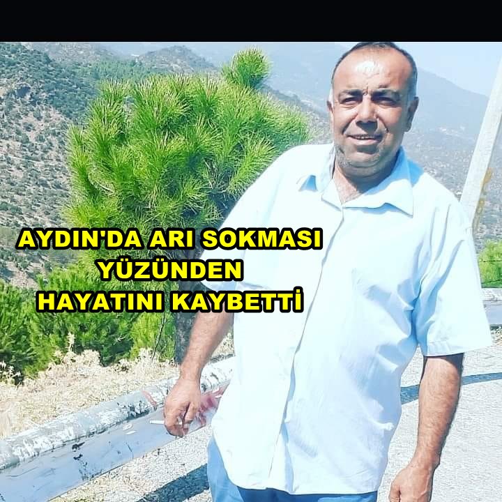 ARI SOKMASI YÜZÜNDEN HAYATINI KAYBETTİ