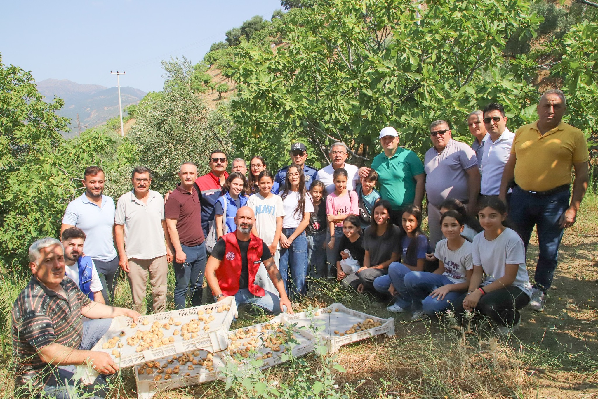 Köşk’te Gönüllü Hasat Etkinliği Düzenlendi